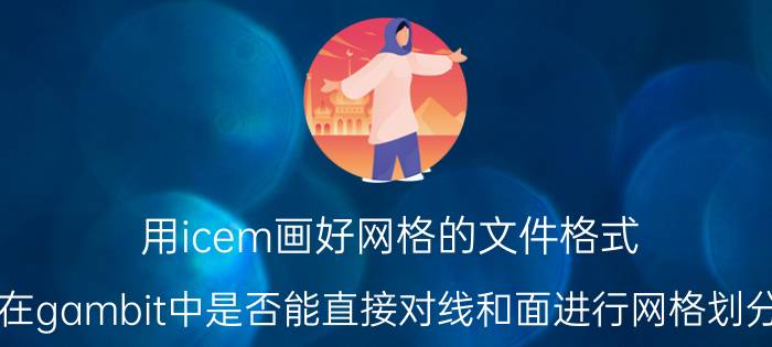 用icem画好网格的文件格式 在gambit中是否能直接对线和面进行网格划分？